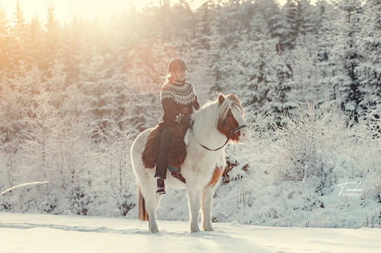 Hoe reinig ik mijn schapenvacht?