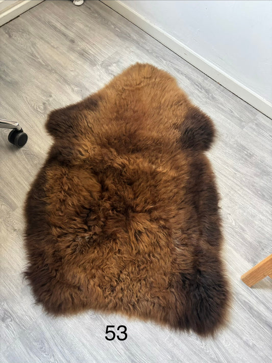 Einzelnes Schaffell Nr. 53