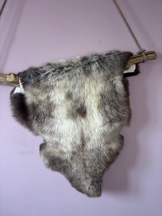 Einzelnes Schaffell Nr. 44